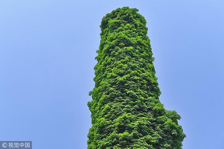 贵阳30米废弃烟囱披
